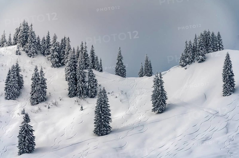 Snowy mountain landscape with trees in winter