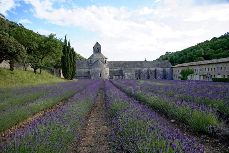 Cistercian abbey Abbaye Notre-Dame de Senanque