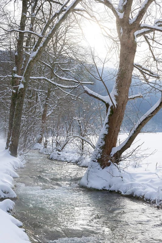 Watercourse Bruehlbach
