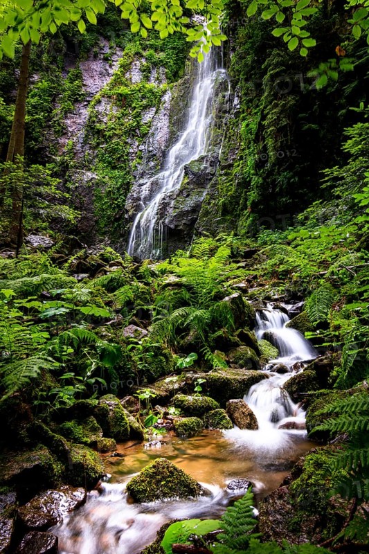 The Burgbach waterfall in the middle of the green forest. Waterfall in Schapbach