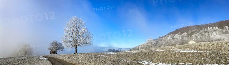 Hoarfrost in clearing fog