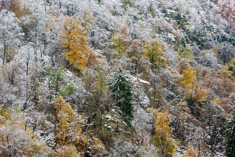 First snow on the autumnal slopes of the Bode Valley in the Harz Mountains
