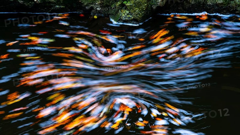 Leaves in the river Bode in the autumnal Harz