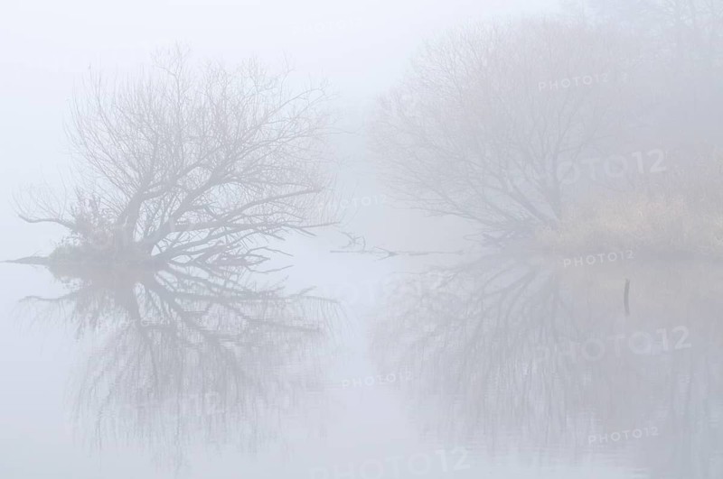 Ems oxbow lake in the fog