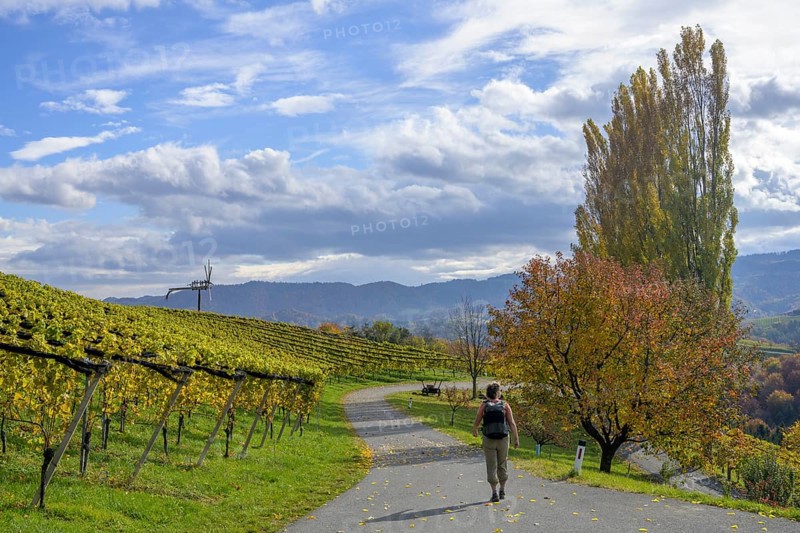 Hiker walking on side road towards Klapotetz