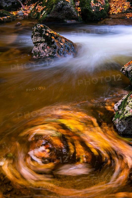 River Bode in the autumnal Harz Mountains
