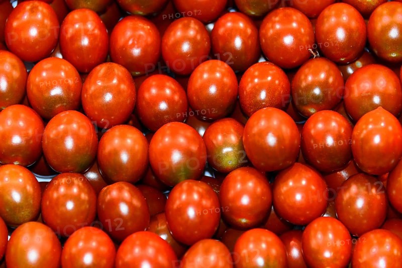 Tomatoes