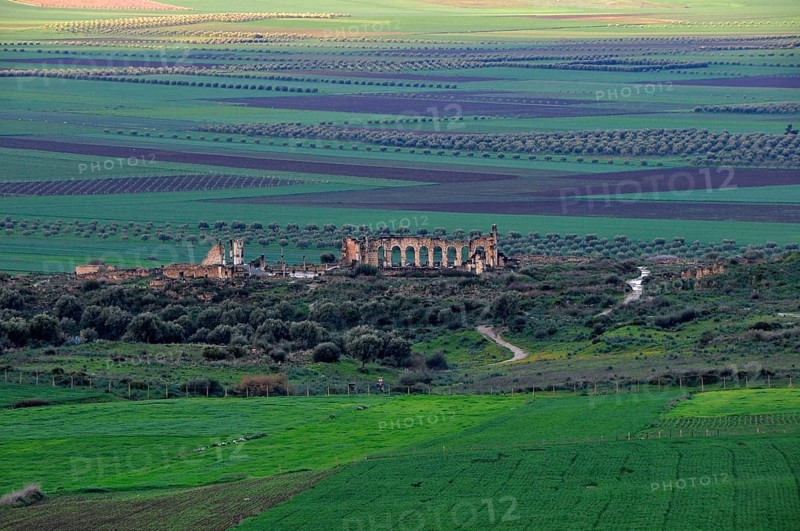 Ancient Roman Ruins Volubilis near Moulay Idriss