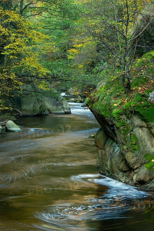 River Bode in the autumnal Harz Mountains