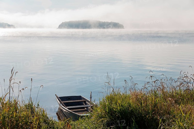 Boat on the shore