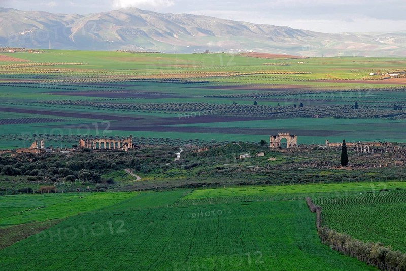 Ancient Roman ruins Volubilis overlooking Rif Mountains near Moulay Idriss