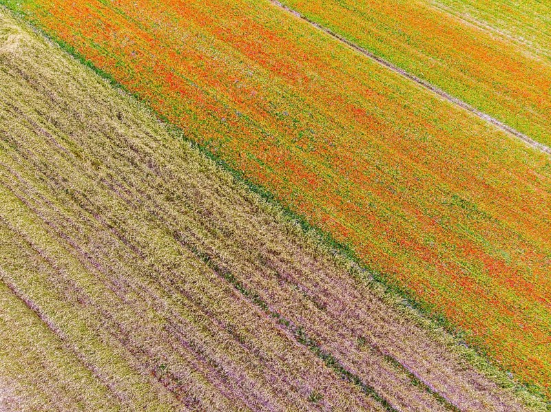 Aerial view of Piano Grande di Castelluccio di Norcia
