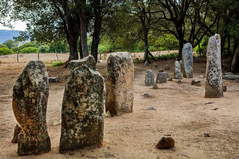Menhir statues
