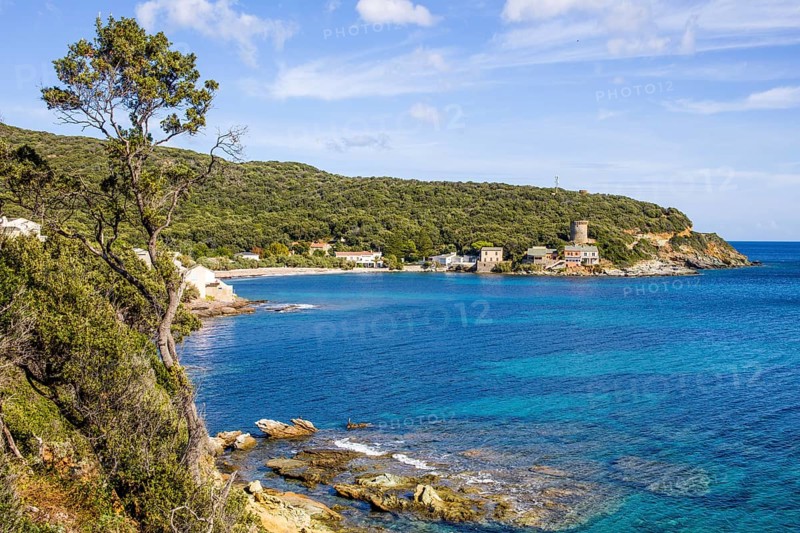 Coast with Genoese Tower
