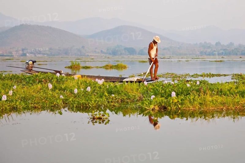 Floating fields