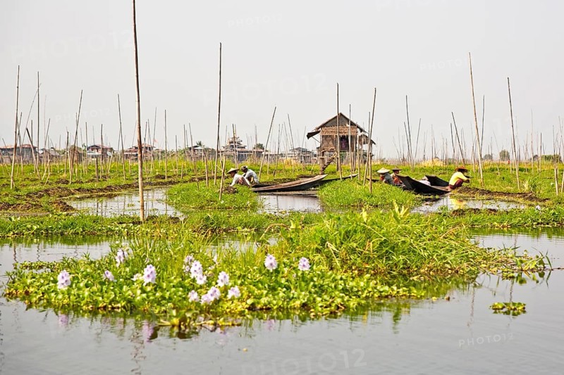 Floating fields