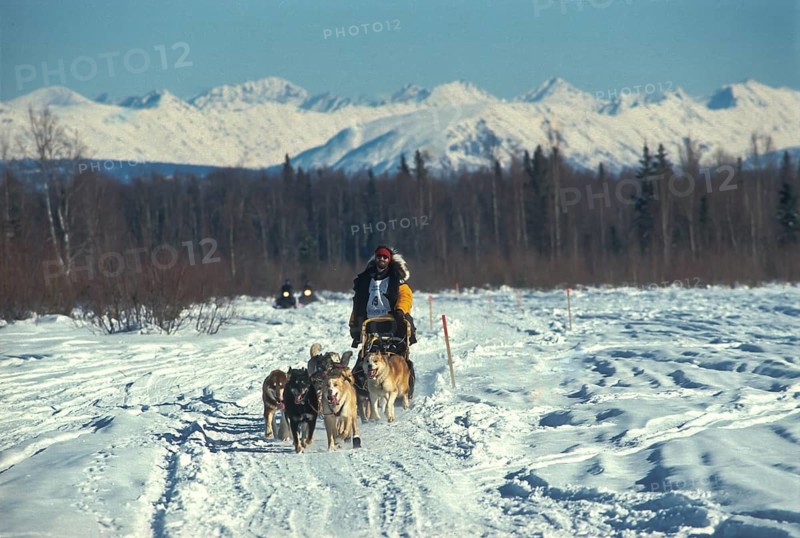 Iditarod Dog Sled Race