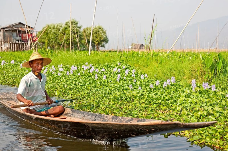 Floating fields