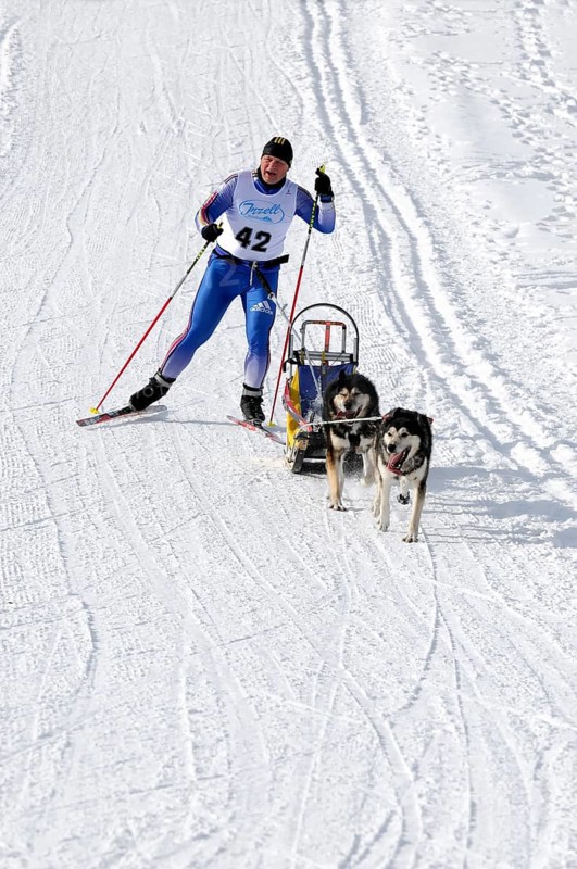 Musher with sled dog team