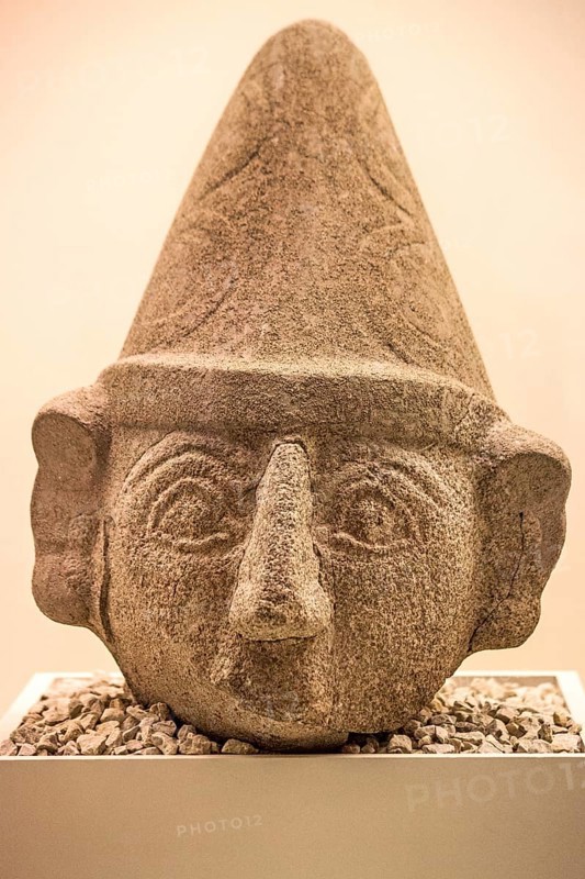 Male head