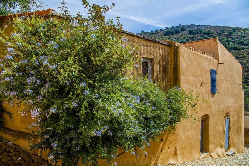 Corsican village of Pigna
