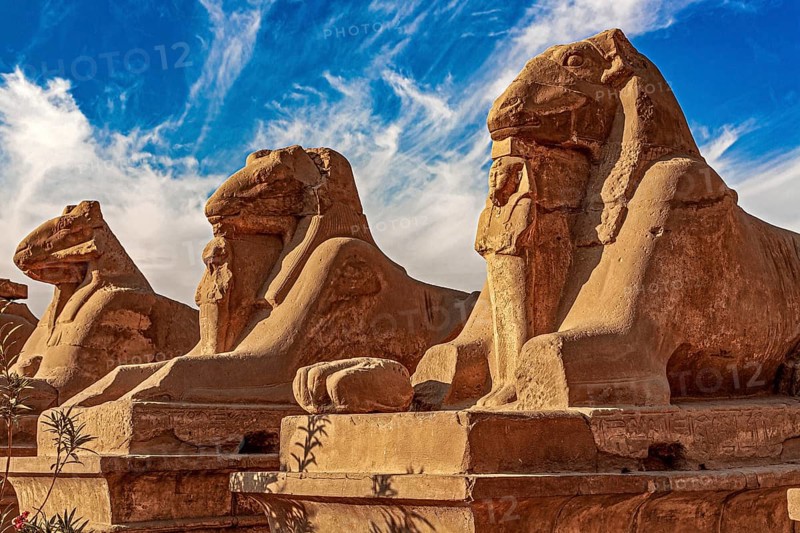 Ram sphinxes in front of the 1st pylon with the statue of Ramses II between the legs