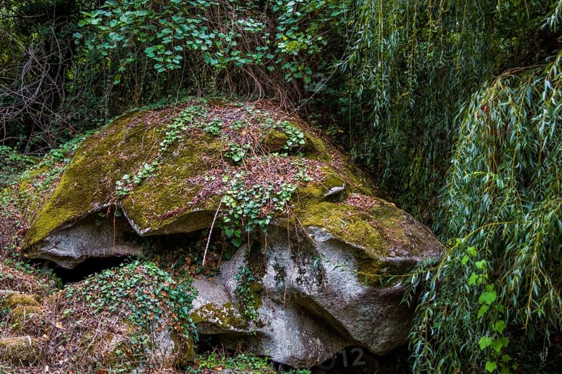Natural rock shelter