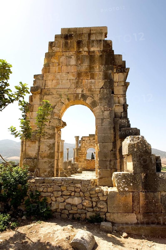 Magnificent complexes at ancient Volubilis