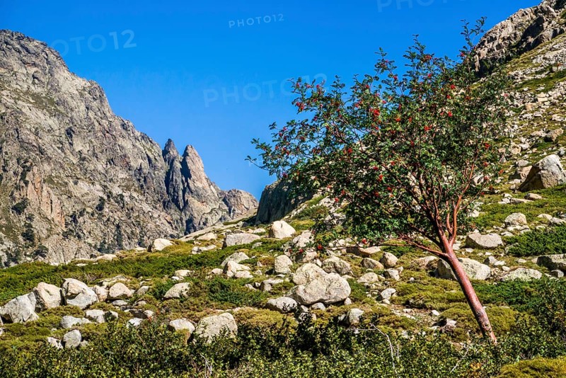 Hiking to the mountain lake Lac de Melo
