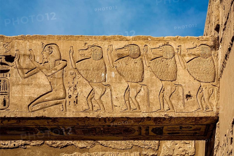 Baboons worshipping the barque of the gods