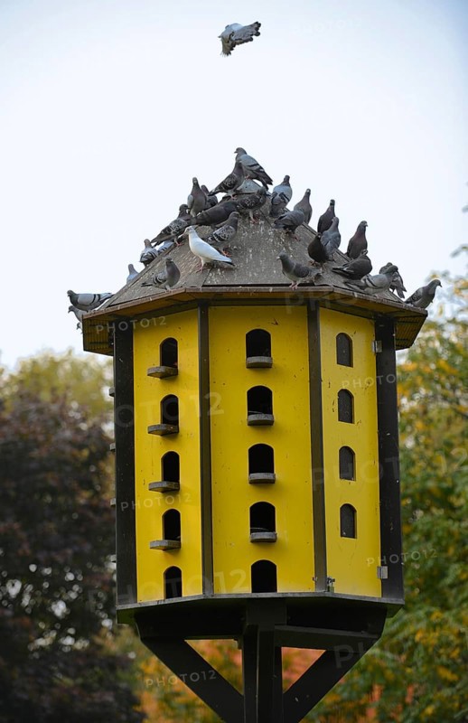 Dovecote