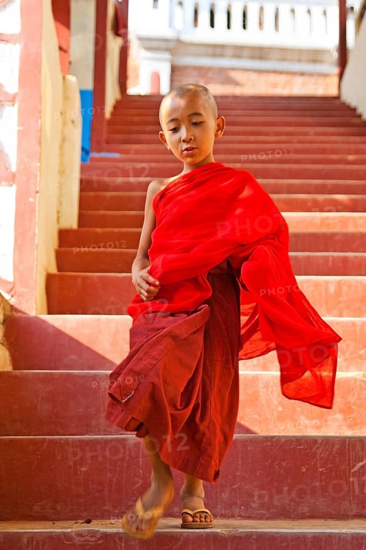 Monk novice