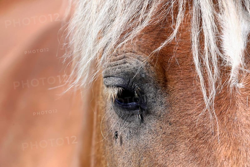 Eye close-up
