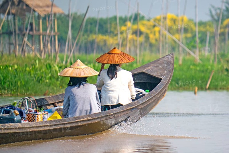 Floating fields