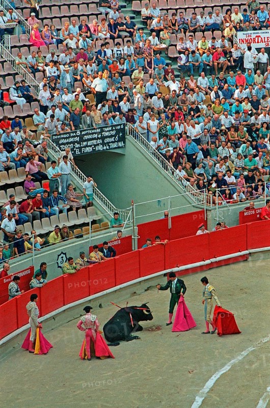 Banderillero ready to stab the bull