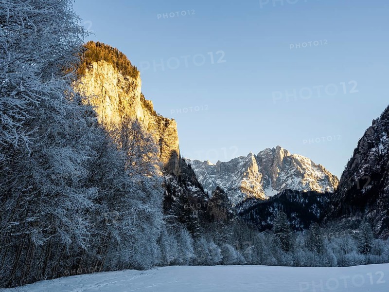 Winter landscape