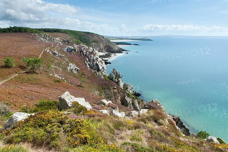 Rocky coast
