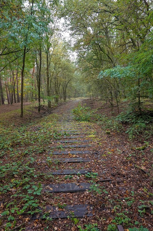 Old railway line of the Boetzowbahn
