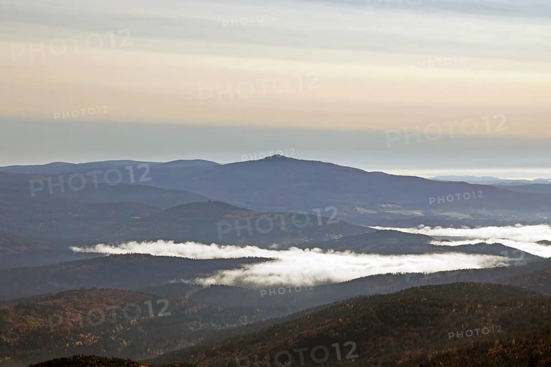 Panoramic view