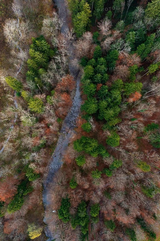 Drone shot