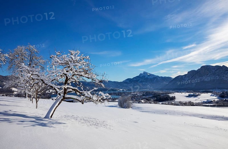 View of snow-covered Mondseeland with Schafberg and Drachenwand