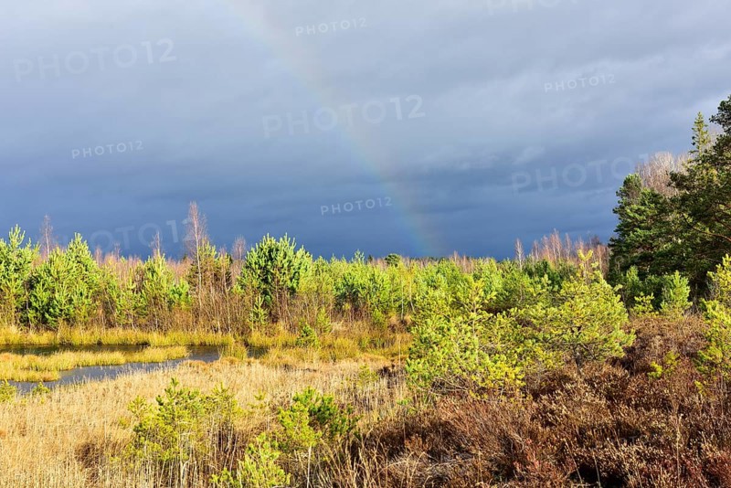 Autumn storm with rainbow in moor landscape