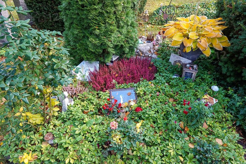 Grave Rio Reiser