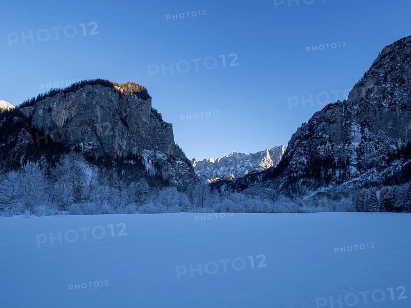 Winter landscape