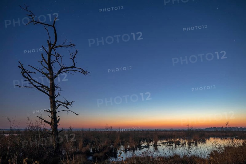Goldenstedt Moor
