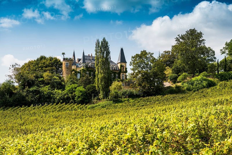 Chateau des Tourillons