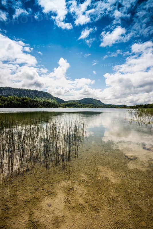 lake scenery
