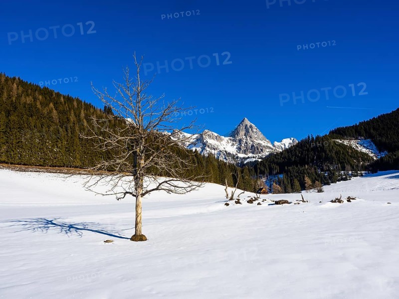 Admonter Kaibling in the Gesaeuse National Park