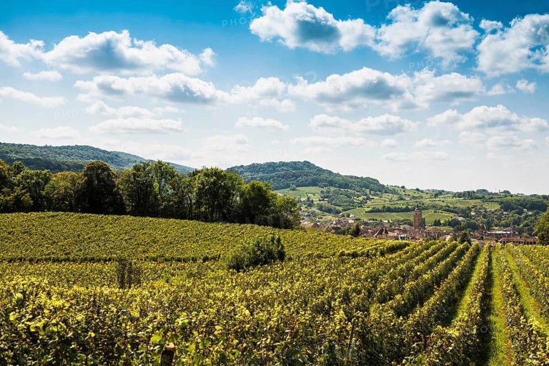 Arbois