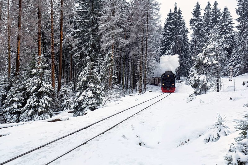 Brockenbahn in snowy forest